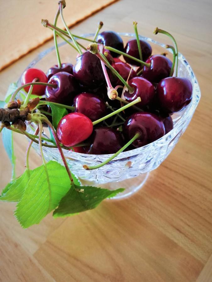 Apartma Bajci Ajdovščina エクステリア 写真